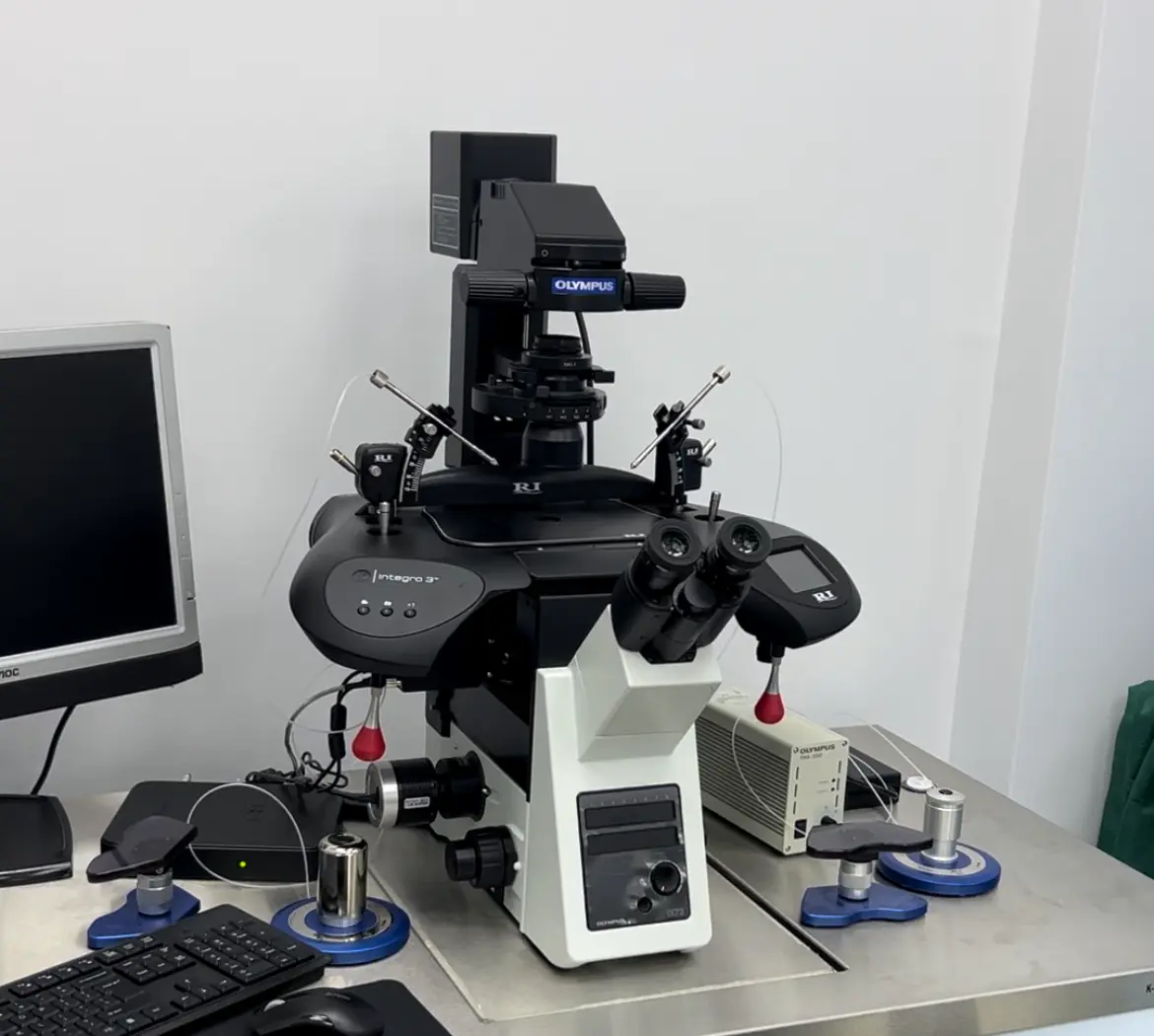 Modern IVF Technology